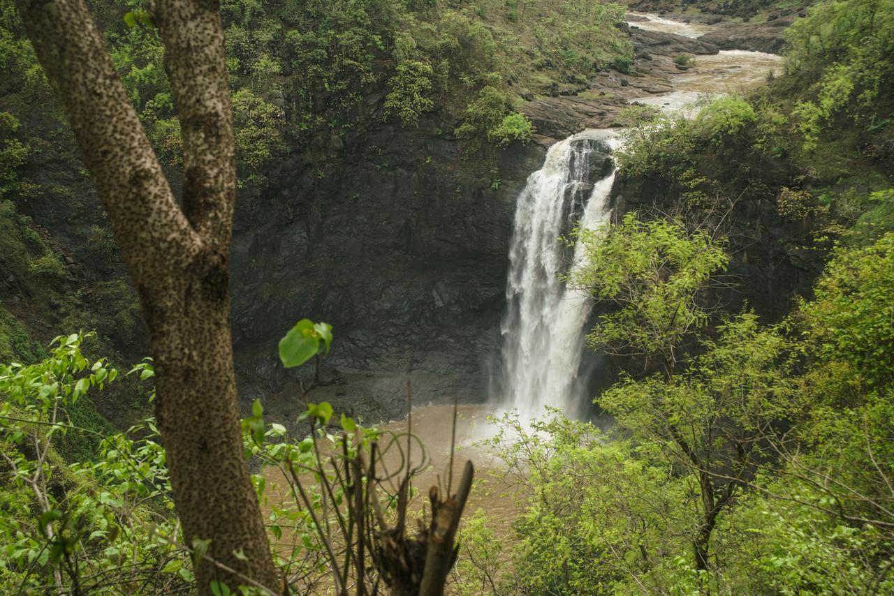 Sterling Nature Trails Dabhosa , Jawahar Birjpara Exteriör bild