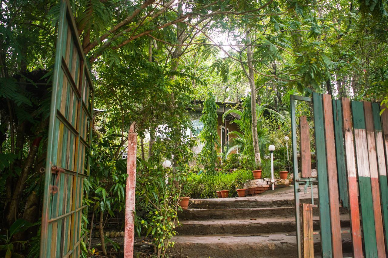 Sterling Nature Trails Dabhosa , Jawahar Birjpara Exteriör bild