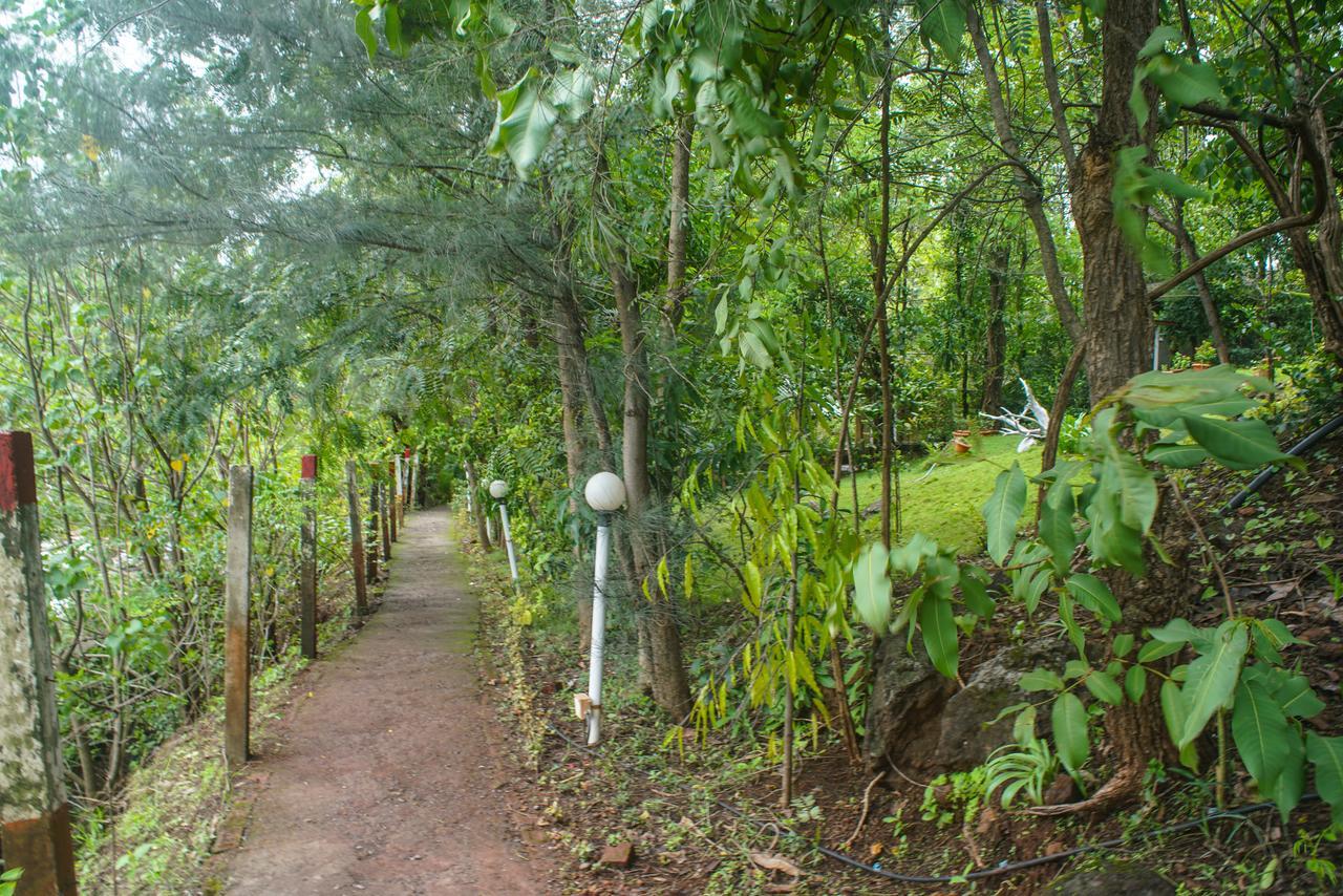 Sterling Nature Trails Dabhosa , Jawahar Birjpara Exteriör bild